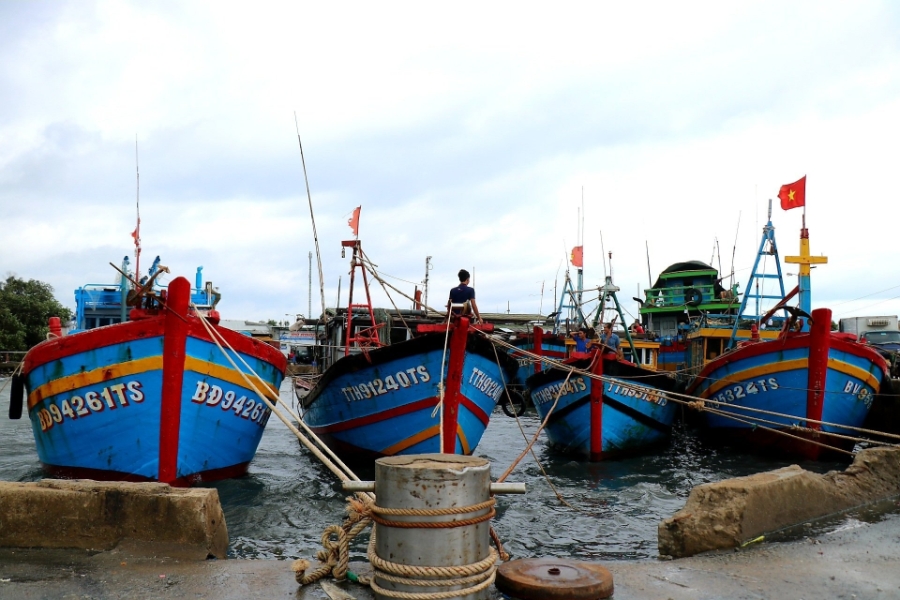 Huế kêu gọi tàu thuyền vào nơi tránh trú an toàn, đồng thời cấm biển từ ngày 23/8 để ứng phó bão số 5