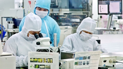 Electronics sector needs to be in transformation