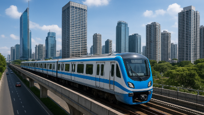 More funding needed for HCMC's 1,000 km urban railway project