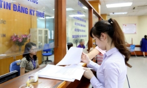 Ninh Bình công khai 83 doanh nghiệp nợ thuế hơn 835 tỷ đồng