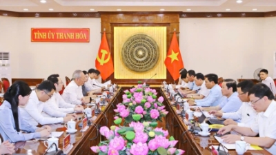 China's firm seeks investment opportunities in Thanh Hoa
