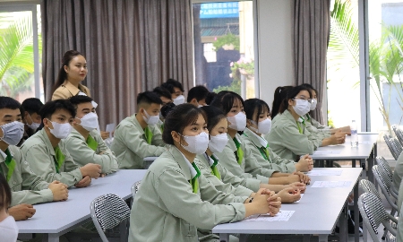 Lao động Việt Nam được