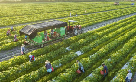 Australia tài trợ 2,1 triệu đô la Úc cho dự án nông nghiệp xanh tại Việt Nam