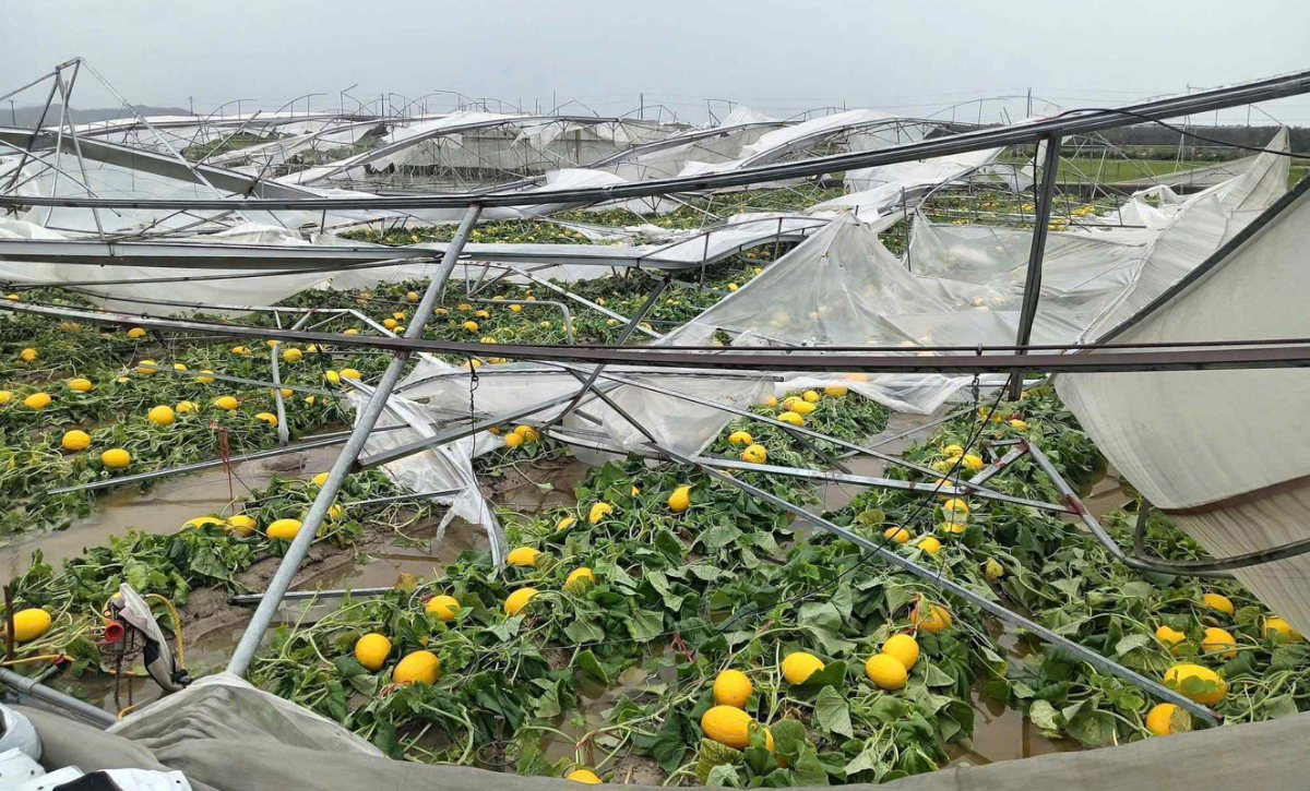 Theo thống kê ban đầu, xã Lộc Hà (Hà Tĩnh) có 1.100 ngôi nhà bị tốc mái và hàng nghìn mái tôn, ki ốt, công trình phụ, tường rào bị hư hỏng. Mưa bão cũng làm 3.500 m2&nbsp;nhà lưới trồng dưa bị tốc mái, 94 ha hoa màu hư hại, 130 ha lúa bị đổ, 1 hồ nuôi cá chim vây vàng (1 ha) bị vỡ do thủy triều tràn đê...&nbsp;&nbsp;