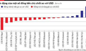 Áp lực điều hành tỷ giá 