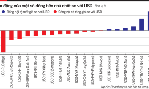 Áp lực điều hành tỷ giá 
