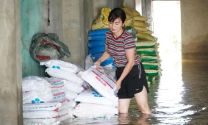 Thanh Hóa: Mưa lớn gây ngập cục bộ, người dân vật lộn trong biển nước