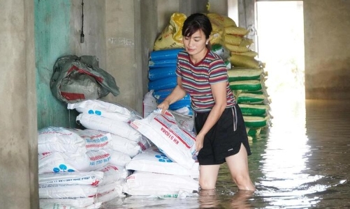 Thanh Hóa: Mưa lớn gây ngập cục bộ, người dân vật lộn trong biển nước