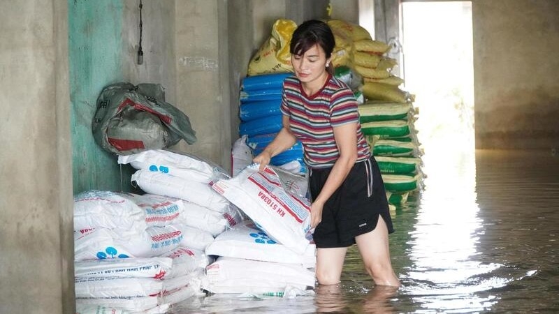 Mưa lớn do hoàn lưu bão số 5 đã gây ngập sâu tại thôn 3, xã Thường Xuân (Thanh Hóa), khiến nhiều gia đình mất trắng tài sản, cuộc sống đảo lộn.