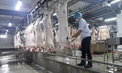 Vi phạm môi trường, một doanh nghiệp ở Hà Nội bị phạt hơn 300 triệu đồng