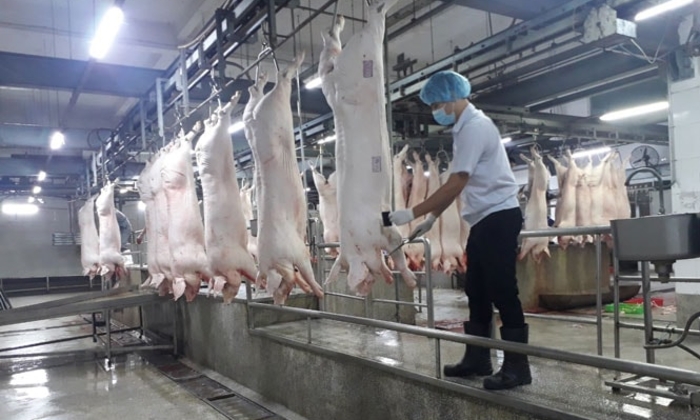 Vi phạm môi trường, một doanh nghiệp ở Hà Nội bị phạt hơn 300 triệu đồng