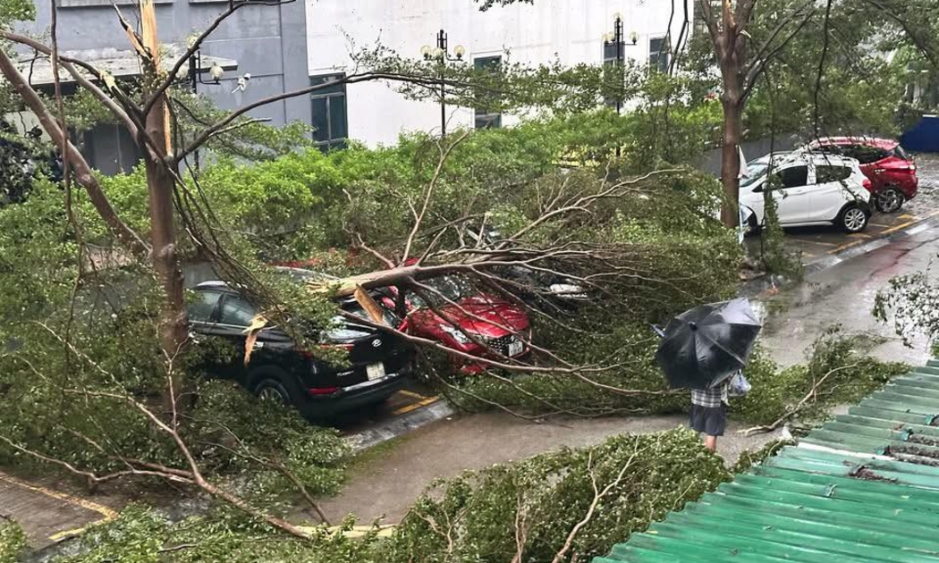 Cây gãy đổ đè lên ô tô tại một chung cư thuộc khối 2, phường Vinh Hưng (Nghệ An).