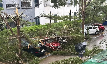 Bão số 5 gây thiệt hại cho Nghệ An hơn 846 tỷ đồng