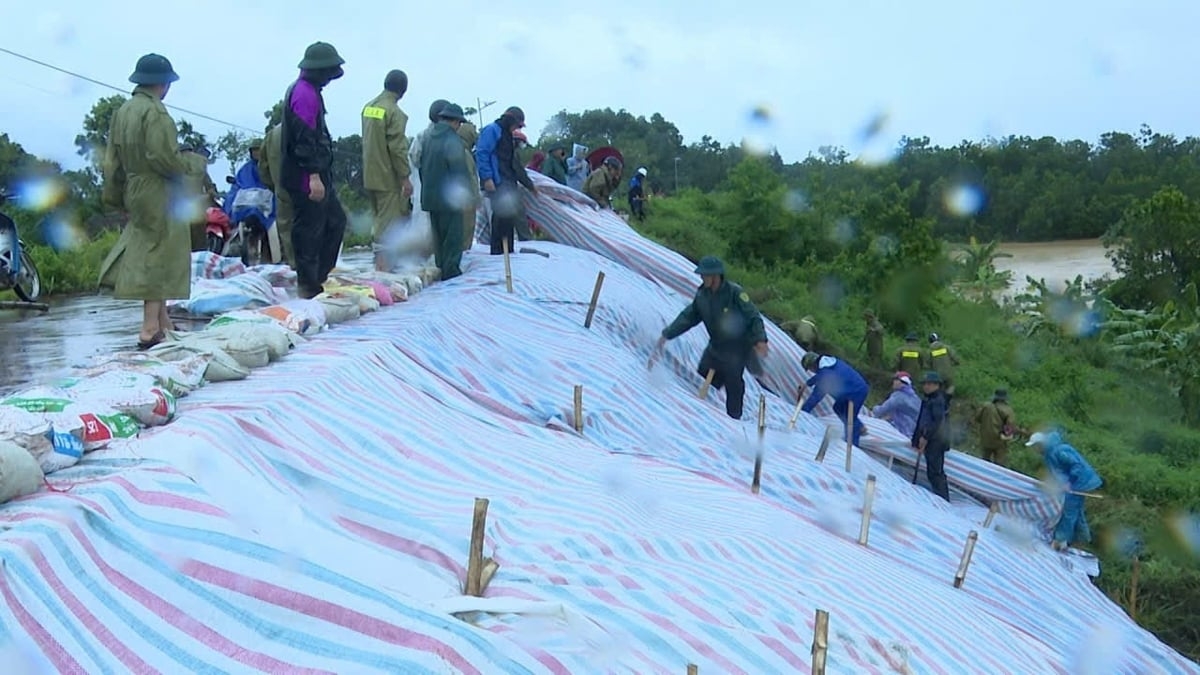 Chính quyền xã Thọ Lập huy động lực lượng khẩn trương khắc phục sự cố sụt lún mái đê