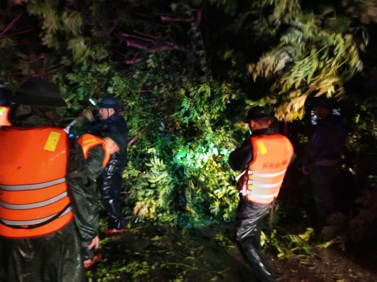 Tối 25/8, cán bộ chiến sĩ Đồn biên phòng Quỳnh Phương (Nghệ An) cắt tỉa các cành cây bị đổ trên các tuyến đường đảm bảo an toàn giao thông.&nbsp;