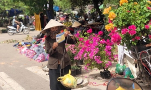 Hà Nội đề xuất tăng mức chuẩn trợ giúp xã hội lên 700.000 đồng/tháng