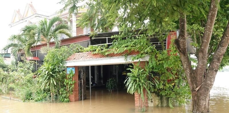 Theo số liệu thống kê, toàn xã Kim Tân đã có gần 1.600 hộ bị ngập do nước sông Bưởi tràn đê, buộc hơn 5.000 nhân khẩu phải sơ tán. Ngoài xã Thạch Định cũ, xã Thành Tiến cũng bị ảnh hưởng, với 231 hộ ngập lụt, trên 1.000 nhân khẩu phải di dời.