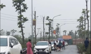 Khoảng trống chứng chỉ hành nghề