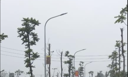 Khoảng trống chứng chỉ hành nghề