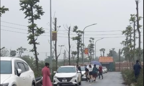 Khoảng trống chứng chỉ hành nghề