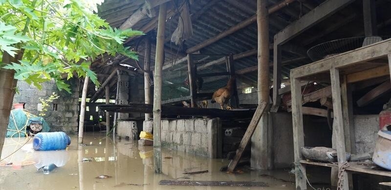 Nhiều nhà dân nước ngập sâu, có nơi sâu hơn 2m