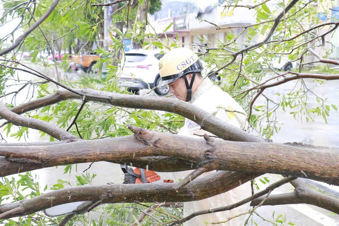 Ngay sau khi bão số 5 đi qua, lực lượng CSGT Công an Nghệ An cùng với các đơn vị liên quan dồn tổng lực để sớm hoàn thành việc xử lý cây xanh gãy đổ, thông tuyến giao thông, đảm bảo an toàn cho người dân đi lại.