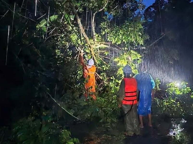 Công nhân ngành điện xuyên đêm khắc phục sự cố.