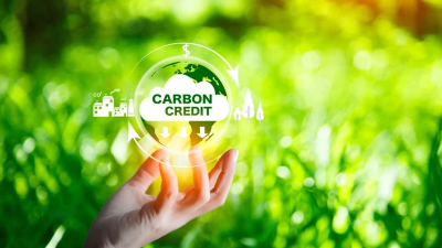 Vietnam’s carbon market needs international cooperation