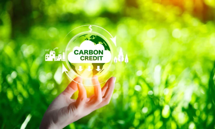 Vietnam’s carbon market needs international cooperation