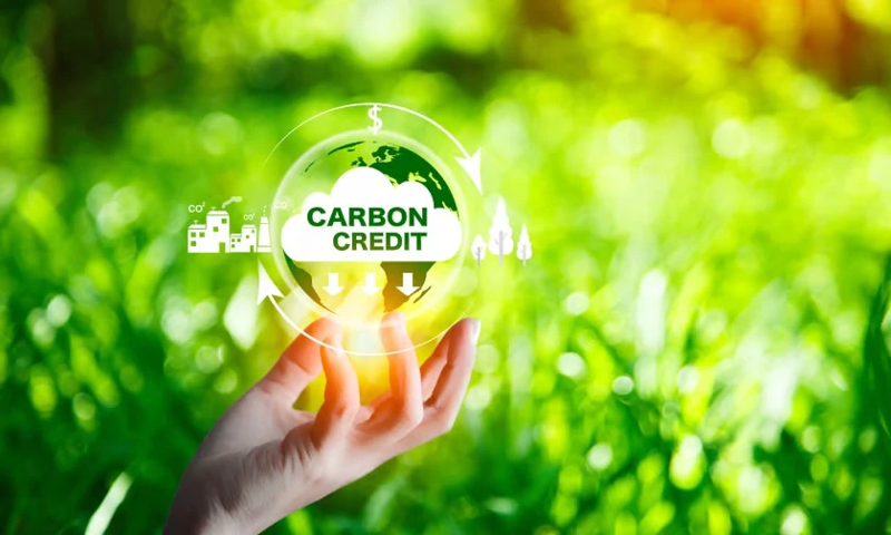 Vietnam’s carbon market needs international cooperation