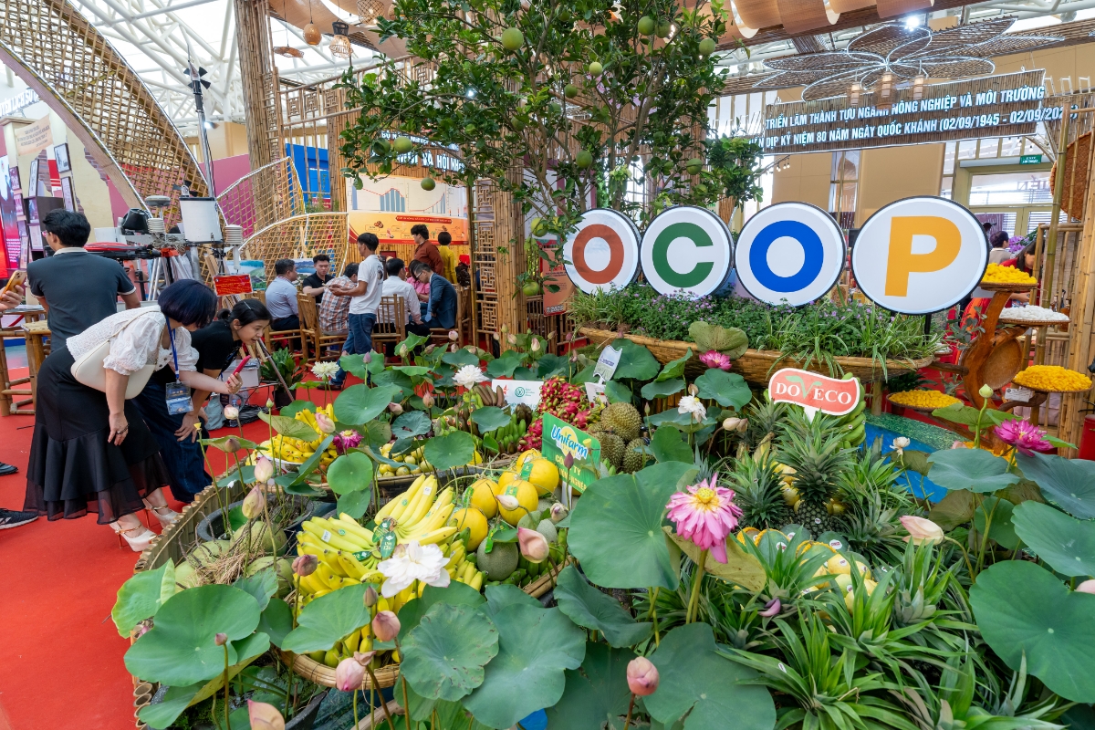 Khu vực trưng bày, giới thiệu các sản phẩm Ocop.