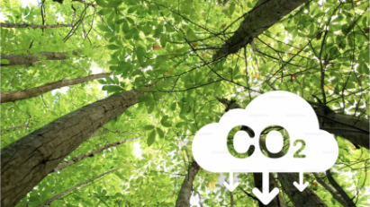 Kinh nghiệm cho Việt Nam từ cải cách thị trường carbon Kazakhstan 