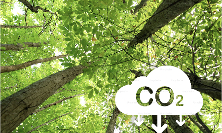 Kinh nghiệm cho Việt Nam từ cải cách thị trường carbon Kazakhstan