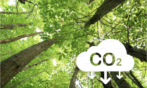 Kinh nghiệm cho Việt Nam từ cải cách thị trường carbon Kazakhstan 