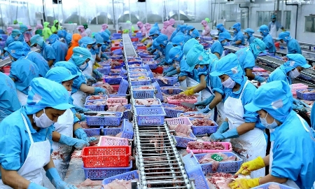 Tăng cường truy xuất nguồn gốc, đảm bảo chất lượng nông, lâm, thủy sản xuất khẩu