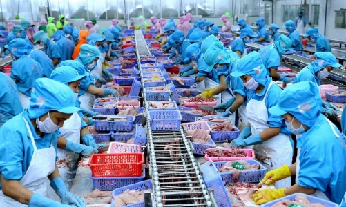 Tăng cường truy xuất nguồn gốc, đảm bảo chất lượng nông, lâm, thủy sản xuất khẩu