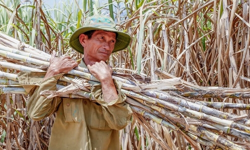 Ngăn chặn đường nhập lậu, hỗ trợ doanh nghiệp duy trì sản xuất bền vững