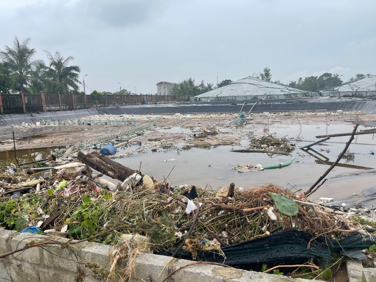 Khu vực nuôi tôm của người dân xã Hoằng Thanh (Thanh Hoá) tan hoang do bão số 5&nbsp;