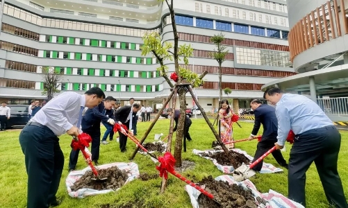 “Campus y tế” đầu tiên tại Việt Nam: Đề cao chăm sóc, trị liệu từ môi trường tự nhiên