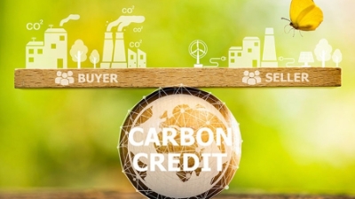 An effecitive partnership for carbon market
