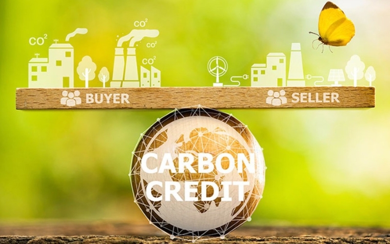 An effecitive partnership for carbon market
