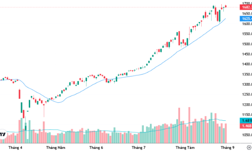 Xu thế dòng tiền: Cơ hội chinh phục đỉnh lịch sử mới sau kỳ nghỉ