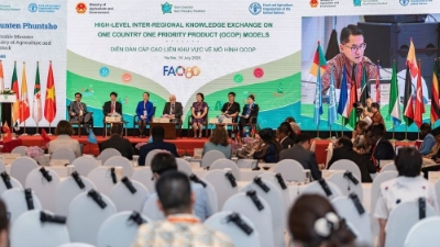 Vietnam's OCOP to go global