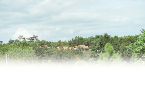 Gia Lai đánh thức đại ngàn: Những dự án thay đổi cuộc đời của đồng bào Ba Na