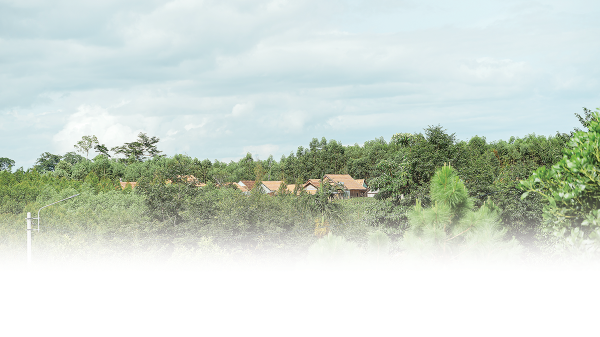Gia Lai đánh thức đại ngàn: Những dự án thay đổi cuộc đời của đồng bào Ba Na