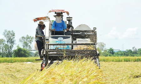 Từ một nước thiếu ăn trở thành cường quốc xuất khẩu nông sản