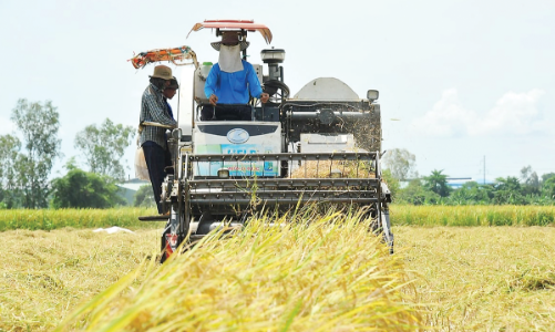 Từ một nước thiếu ăn trở thành cường quốc xuất khẩu nông sản