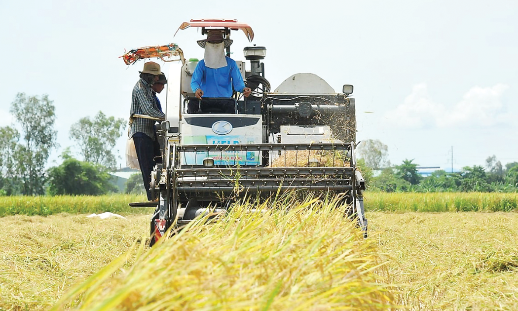 Việt Nam hiện đứng thứ hai thế giới về xuất khẩu gạo