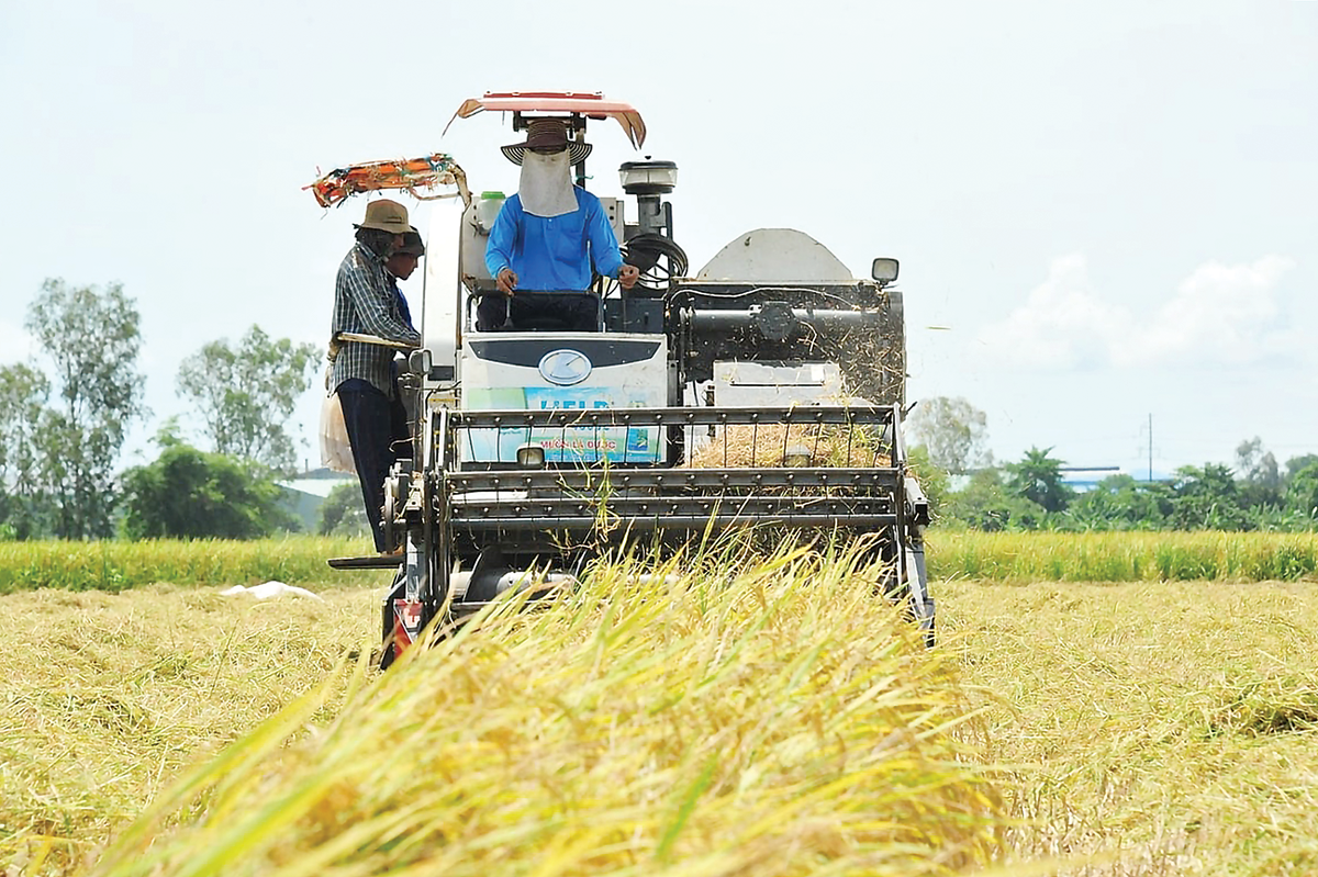 Việt Nam hiện đứng thứ hai thế giới về xuất khẩu gạo