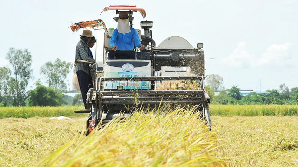 Từ một nước thiếu ăn trở thành cường quốc xuất khẩu nông sản